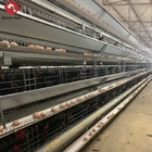 120 Egg Layer Chicken Cage Wire Mesh A Type Of Poultry Equipment