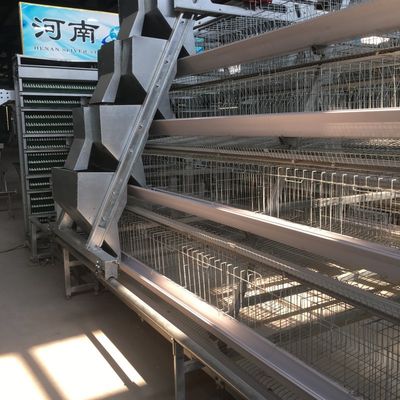3-Tier / 4-Tier A-Type Layer Chicken Cage with Automatic Feeding & Egg Collection and Hot-Dip Galvanized Steel