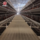 Poultry Farm Hens Layer Battery Chicken Cage H Type With Automatic Egg Collection