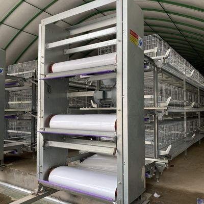 Industrial Grade H-Type Layer Battery Cages with Overseas Engineering Support