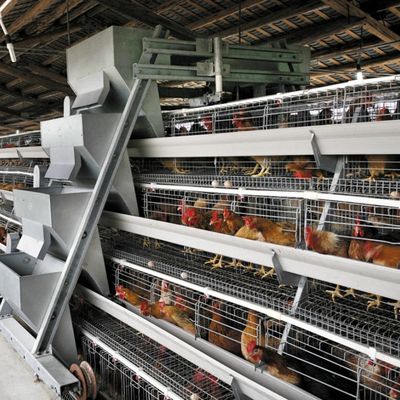 3-Tier / 4-Tier A-Type Layer Chicken Cage with Automatic Feeding & Egg Collection and Hot-Dip Galvanized Steel