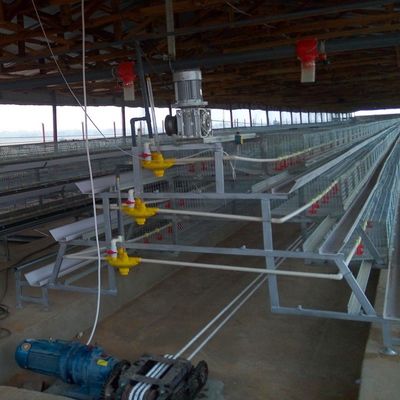 A-Type Stacked Broiler Cage with Hot-dip Galvanized Steel 3-5 Layers Customizable Full Automatic Poultry Equipment