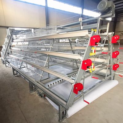 A-Type Stacked Broiler Cage with Hot-dip Galvanized Steel 3-5 Layers Customizable Full Automatic Poultry Equipment