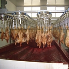 500PCS Automatic Slaughterhouse Equipment Chicken Farming Poultry Line