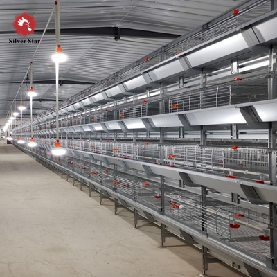 H Type Complete Automatic Broiler Chicken Cage 4 Tiers Good Elasicity