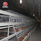 Cheap Price A Type Chicken Laying Egg Cages