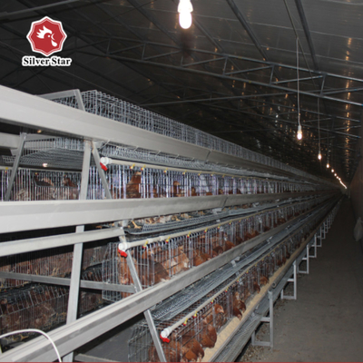 Q235 Chicken Farming Equipment , 54-384 Birds/Set H / A Type Layer Cage