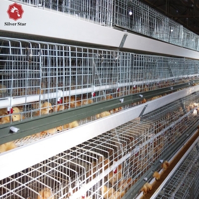 108 chickens High Brood Survival Rate Broiler Cage System For Little Chick