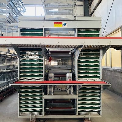H-Type Automatic Layer Battery Cage System 15-20 Year Service Life Fully Automated Hot-Dip Galvanized for Poultry Farming