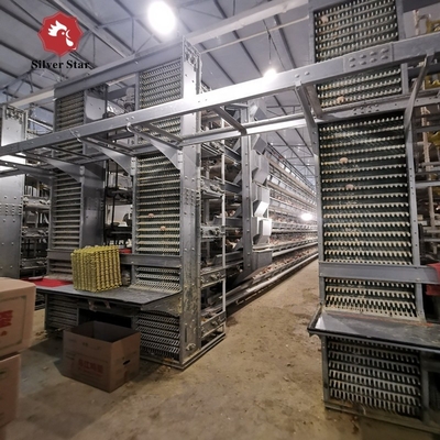 120 Chicken Capacity Battery Cage System In Poultry Farm