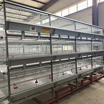 Fully Automatic H-Type Broiler Cage System with Hot-Dip Galvanized Steel for High-Density Poultry Farming