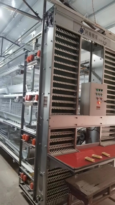 Hot Galvanized Poultry Farming Battery Cage System For Laying Hen