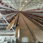 Full Automatic Laying Chicken Cages Egg Layer Cage For Africa Poultry Hens Farms