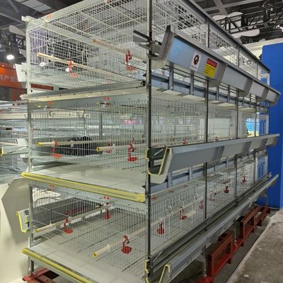 Automatic H-Type Baby Chick Cage System with Galvanized Steel and 100-300 Chickens/set Capacity