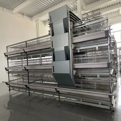 Space-Saving Design High Yield H-Type Fully Automatic Layer Cages for Modern Farms
