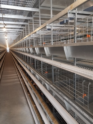 Layer Chicken Cages With Hot-dip Galvanization And Stacking Increase Feeding Density And Productivity.
