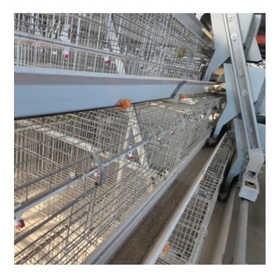 Q235 Hot Galvanized Automatic Harvesting Chicken Egg A Type Cage For Layer Chicken Cage Farming Equipment