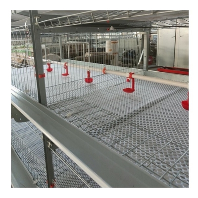 Automatic Chicken Cages Egg Layer Battery Cage Farming Equipment Egg Collection Disinfection System