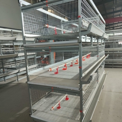 Q235 Hot Galvanized Automatic Harvesting Chicken Egg A Type Cage For Layer Chicken Cage Farming Equipment