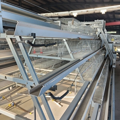 Hot  Galvanized Automatic A Type H Type Chicken Cages Layer For Poultry Cage