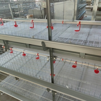 4 Layer Battery H Type Chicken Egg Laying Hens Poultry Cage With Automatic Egg Collection System