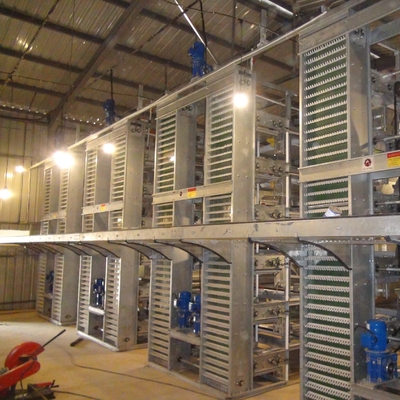 A Type Battery Layer Chicken Cages H-Type Battery Cage And Automatic Breeding System