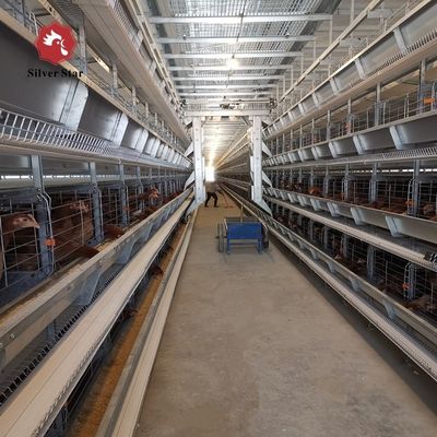 H-Type Automatic Layer Battery Cage System | Henan Silver Star