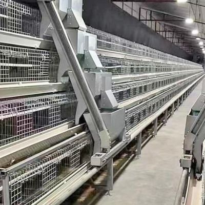 A-Type Layer Chicken Cage with Hot Dip Galvanized Steel and Automatic Feeding for 3 or 4 Tier Poultry Equipment