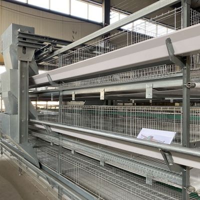 H-Type Layer Battery Cage Hot-Dip Galvanized Full Automation High-Density Breeding Poultry Farming Equipment