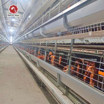 Boost Your Poultry Farm's Efficiency with Automatic Manure Cleaning Battery Chicken Cages