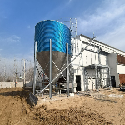 Chicken Laying Cage Galvanized Automatic H Type Chicken Cages Layer Poultry For Farming