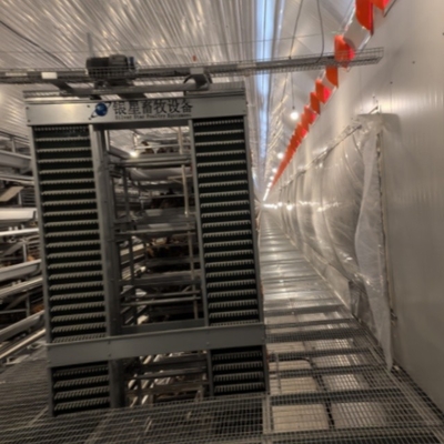 Space-Saving Design High Yield H-Type Fully Automatic Layer Cages for Modern Farms