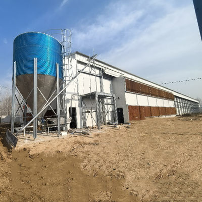Hot Dipped Galvanized Steel 8 Tiers High Density Full Automatic Operation Battery Chicken Cage Poultry Farming Equipment