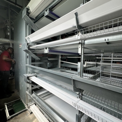 Automated Laying Hens Machines 8 Tier Chicken Layer Battery Cage Chicken Cages Hot Galvanized Egg Layer Poultry Farms