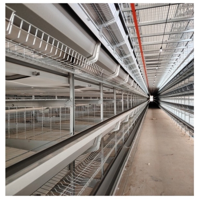 Automated Laying Hens Machines 8 Tier Chicken Layer Battery Cage Chicken Cages Hot Galvanized Egg Layer Poultry Farms