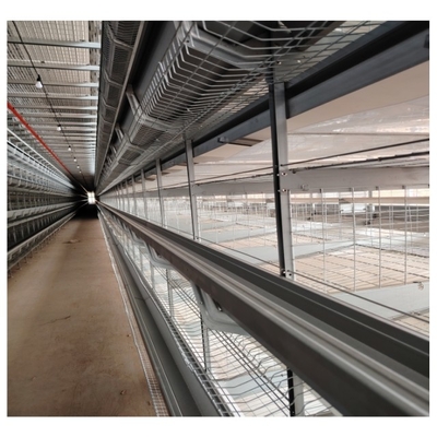 Chicken Laying Cage Galvanized Automatic H Type Chicken Cages Layer Poultry For Farming