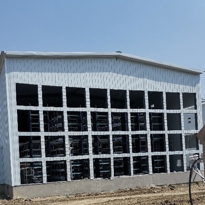 Chicken Laying Cage Galvanized Automatic H Type Chicken Cages Layer Poultry For Farming