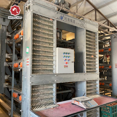 Hot Sale Poultry Farm H Type Chicken Layer Cage With Full Automatic System