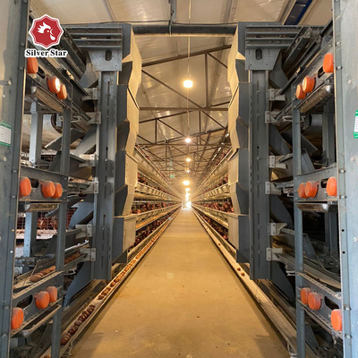 Hot Sale Poultry Farm H Type Chicken Layer Cage With Full Automatic System