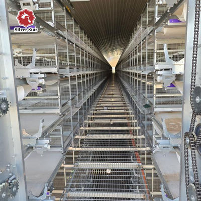 H-Type Battery Cage System with Hot-Dip Galvanized Frame Automatic Feeding Trough Stackable Modular Design for Commercial Poultry Farms