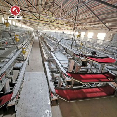 A-Type Layer Chicken Cage System with 3-Tier / 4-Tier Design, Automatic Feeding & Egg Collection, Hot-Dip Galvanized Steel for Poultry Farms