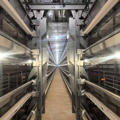 H-Type Layer Battery Cage Hot-Dip Galvanized Full Automation High-Density Breeding Poultry Farming Equipment