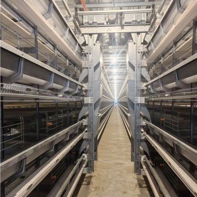 H-Type Layer Battery Cage Hot-Dip Galvanized Full Automation High-Density Breeding Poultry Farming Equipment