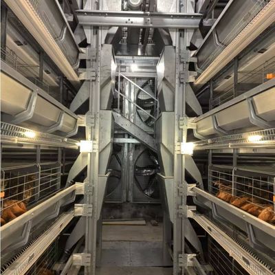 H-Type Layer Battery Cage Hot-Dip Galvanized Full Automation High-Density Breeding Poultry Farming Equipment