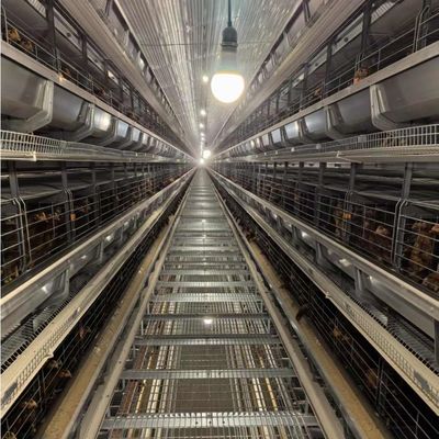 H-Type Layer Battery Cage Hot-Dip Galvanized Full Automation High-Density Breeding Poultry Farming Equipment