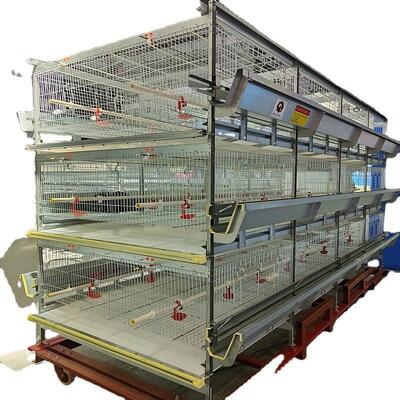 Full Automatic 72 Birds H-Type Poultry Layer Cage Hot-Dip Galvanized Steel Battery Chicken Cage