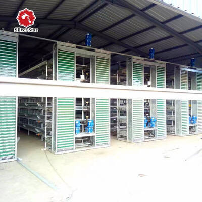 Automatic Egg Collection Hot-Dip Galvanized Battery Chicken Cage with Computerized Control System for Poultry Farming