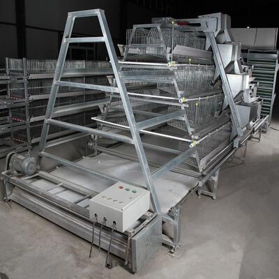 A-Type Layer Chicken Cage with Hot Dip Galvanized Steel and Automatic Feeding for 3 or 4 Tier Poultry Equipment