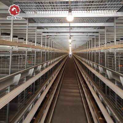 H-Type Automatic Layer Battery Cage System with Hot-Dip Galvanized Steel for Automated Egg Collection and 15-20 Years Service Life