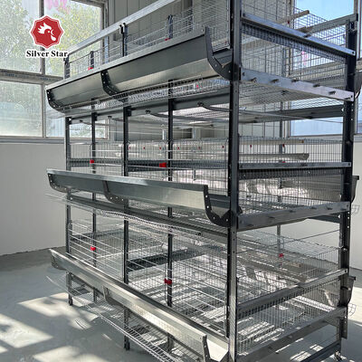 Commercial Layer Battery Cage for 20,000+ Birds Farm Design High-Density Automatic Layer Battery Cage for Mega Farms